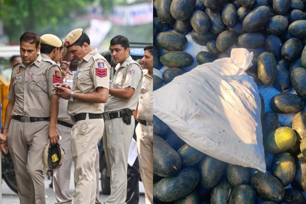 Delhi police drug bust