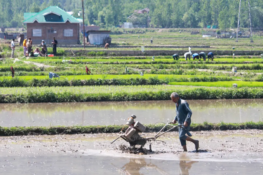 Farmers Digital Card