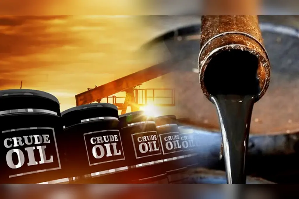 crude oil petroleum
