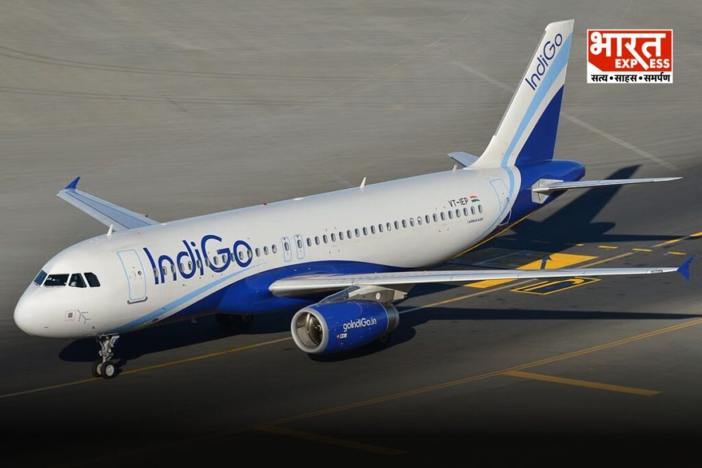 indigo flight