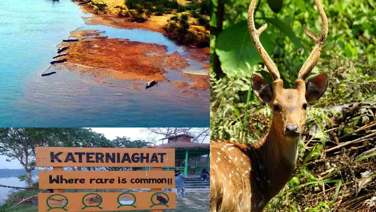 katarniaghat-wildlife-sanctuary-bahraich
