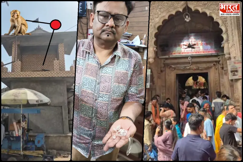 vrindavan mathura monkey news