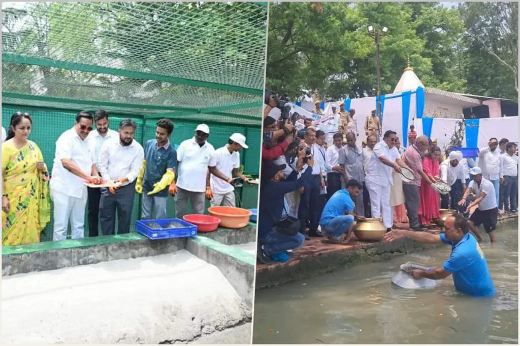 world environment day 2025