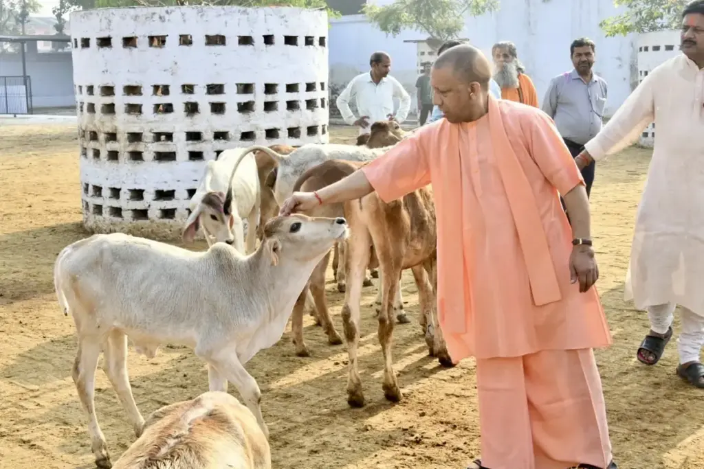 CM Yogi