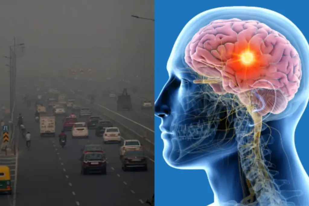 क्या सच में वायु प्रदूषण के कारण हो सकता है Brain Tumor? नई रिसर्च में हुआ चौंकाने वाले खुलासा- भारत एक्सप्रेस