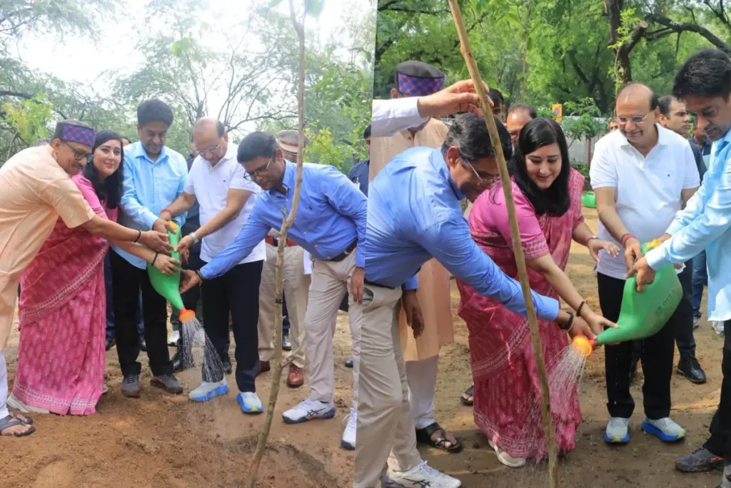 Delhi tree plantation