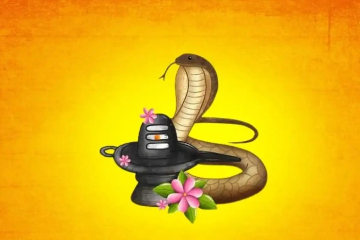 प्रदोष काल में भगवान शिव की पूजा करें इस दौरान आप सबसे पहले शिवलिंग पर जल, दूध, दही, घी, शहद और शक्कर से अभिषेक करें. बिल्वपत्र धतूरा और चंदन अर्पित करें. फिर धूप-दीप जलाएं और शांत मन से महामृत्युंजय मंत्र का जाप करें. ॐ त्र्यम्बकं यजामहे सुगन्धिं पुष्टिवर्धनम् उर्वारुकमिव बन्धनान् मृत्योर्मुक्षीय मामृतात्. 