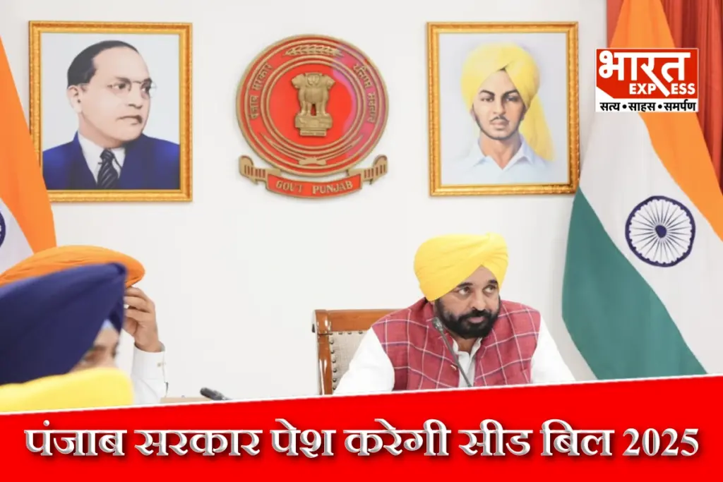 पंजाब में अब नकली बीजों की बिक्री गैर-जमानती अपराध, सीड (पंजाब संशोधन) विधेयक पर पंजाब कैबिनेट ने लगाई मुहर - भारत एक्सप्रेस