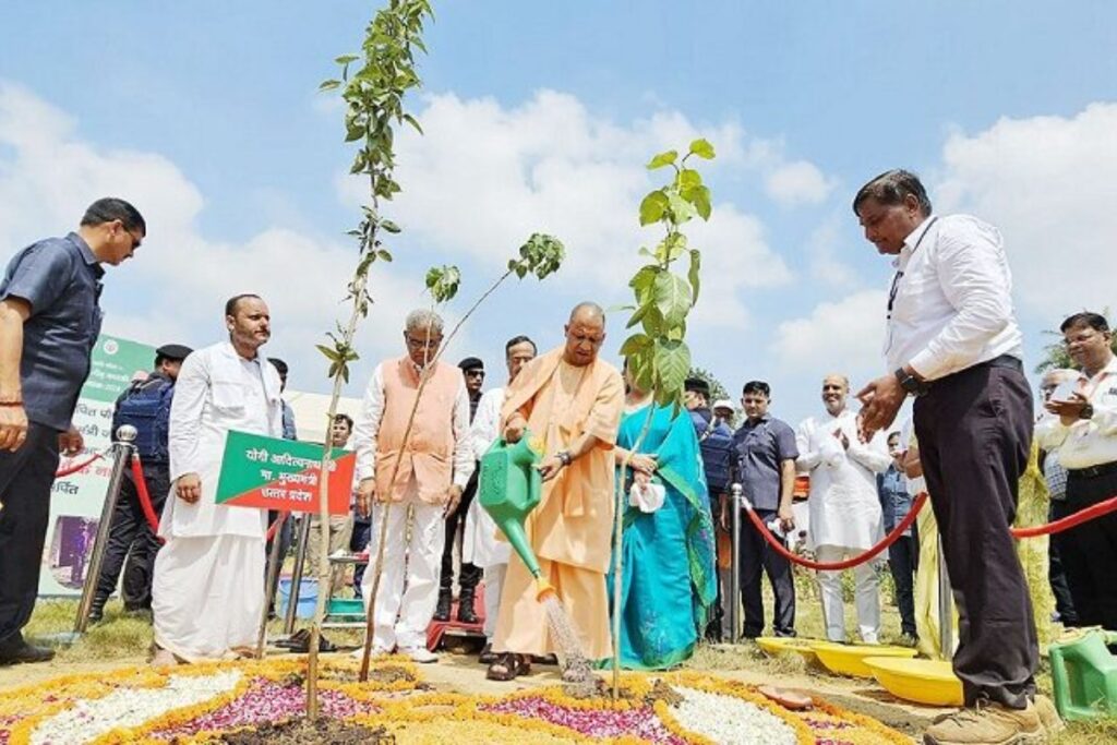 Yogi Plantation Campaign 2025