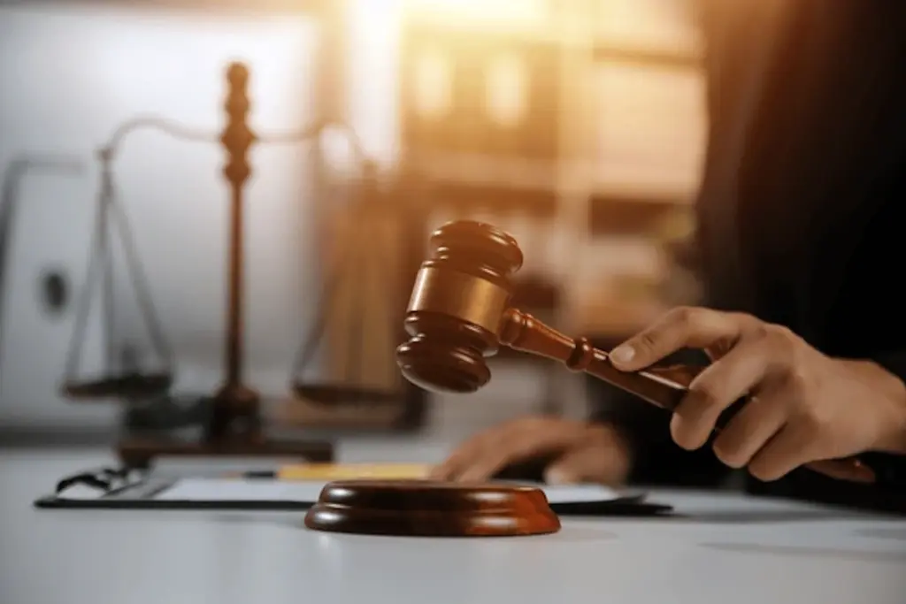 delhi court-mca