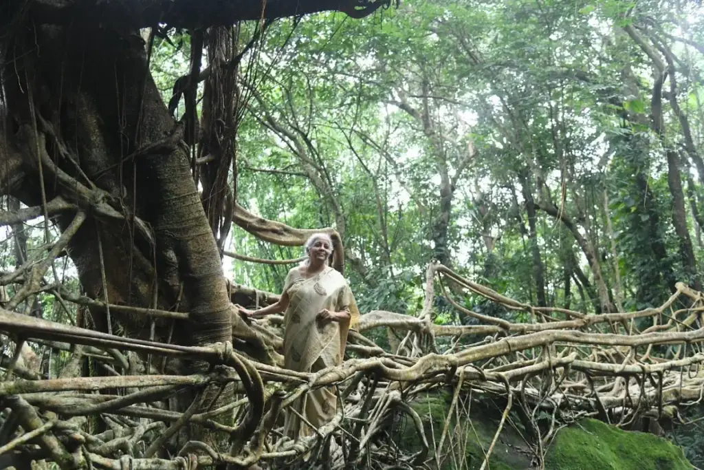nirmala sitharaman Living Root Bridge