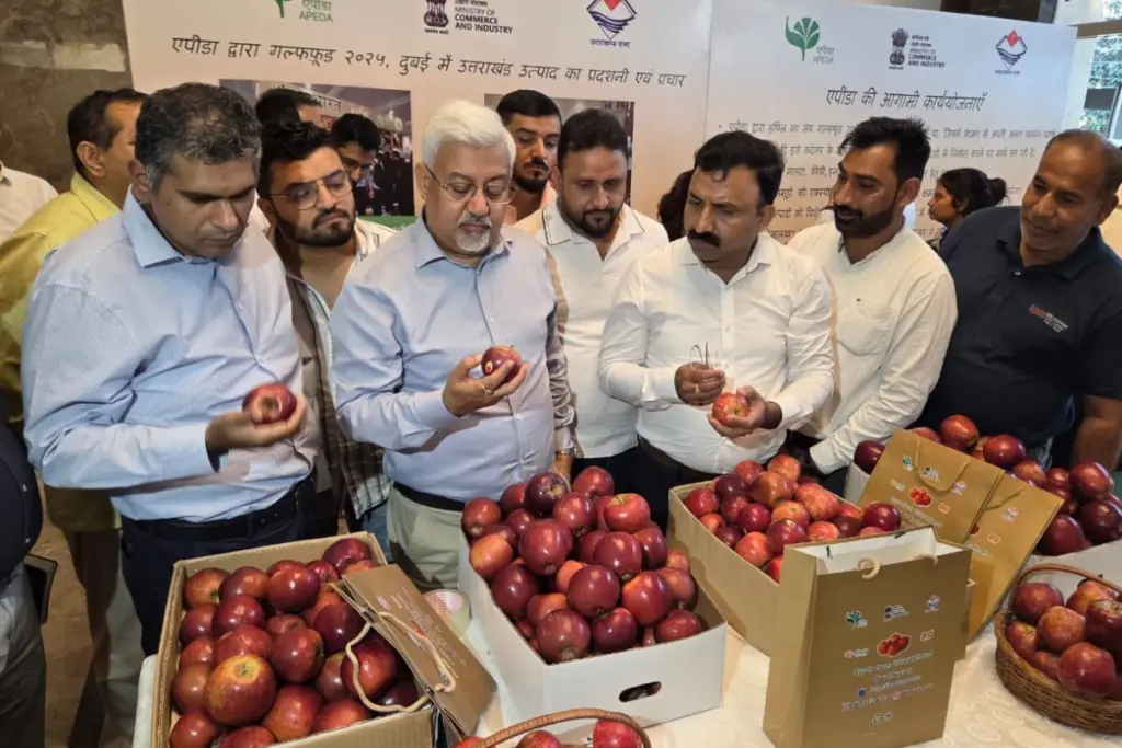 Garhwali Apple: गढ़वाली सेब की पहली खेप देहरादून से दुबई के लिए रवाना