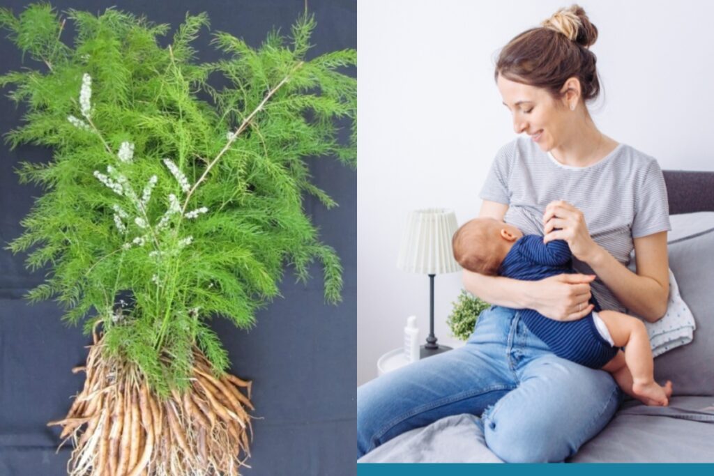 Breast Feeding Week 2025