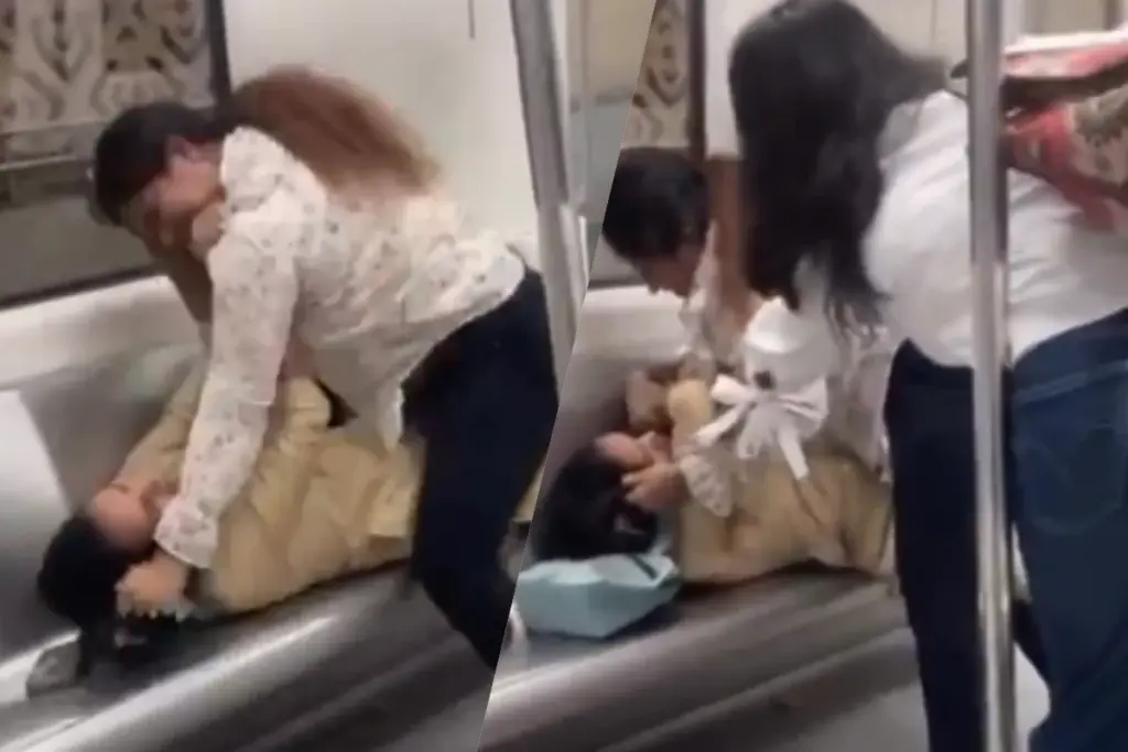 Delhi Metro, Viral Video