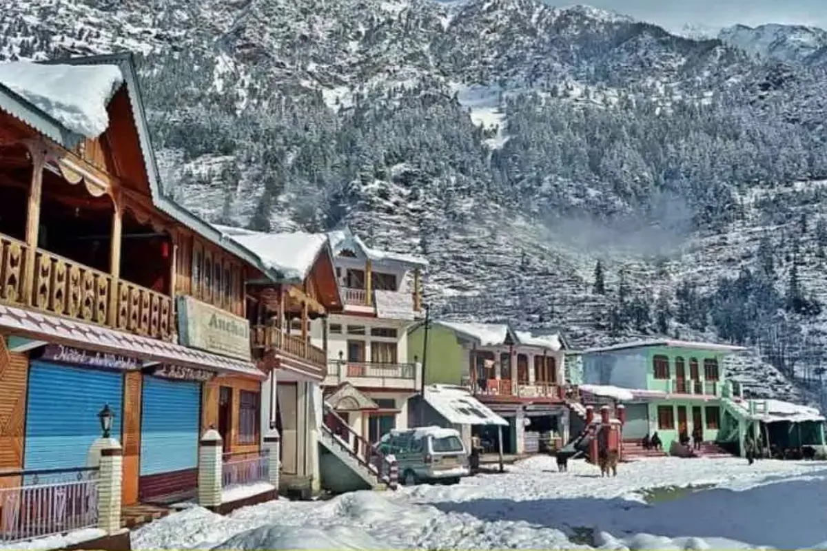 जनगणना के अनुसार धराली गांव में कुल 137 परिवार निवास करते हैं और यहां की कुल जनसंख्या 583 है, जिनमें 307 पुरुष और 276 महिलाएं शामिल हैं. यह गांव अपनी प्राकृतिक सुंदरता, शांति और सेब के बागानों के लिए जाना जाता है. धराली को अक्सर 'ईश्वर का वरदान' या 'गॉड गिफ्टेड विलेज' कहा जाता है. 