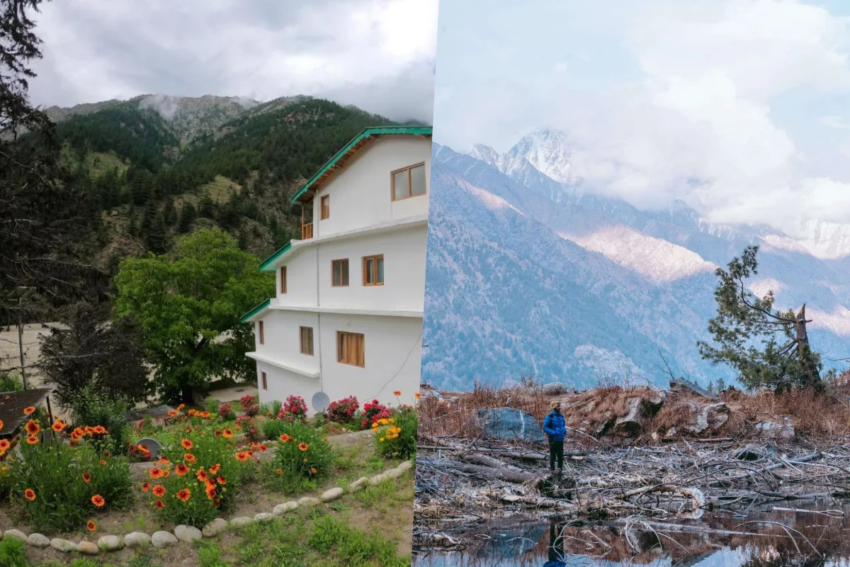 यह क्षेत्र उत्तराखंड के सेब बेल्ट का अहम हिस्सा माना जाता है. यहां उगने वाले सेब बेहद मीठे, रसीले और उच्च गुणवत्ता के होते हैं. इसके अलावा यहां का पारंपरिक खाना जैसे राजमा-चावल और पहाड़ी साग भी काफी प्रसिद्ध है. 