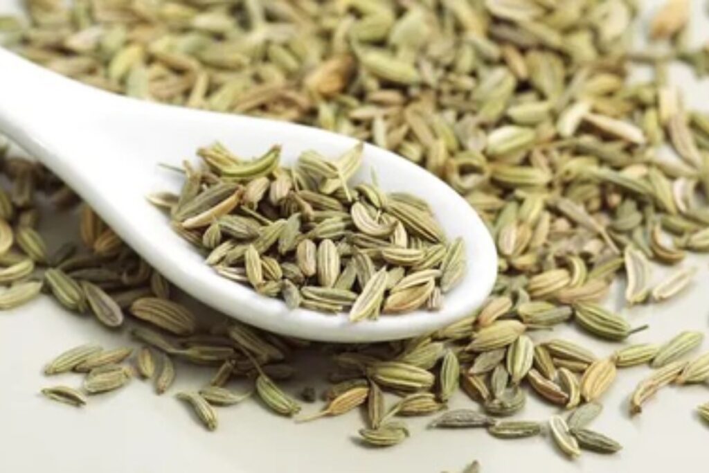 Fennel Benefits