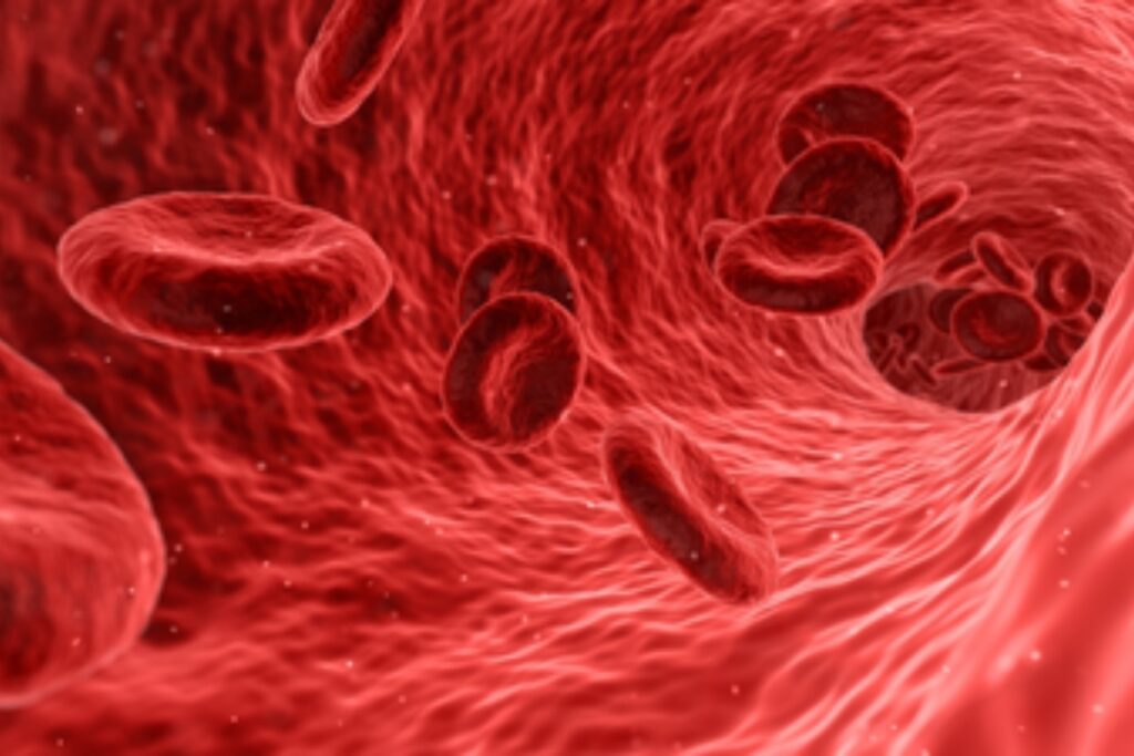 Hemoglobin Rich Foods: खून की कमी दूर करने के लिए रोजाना खाएं