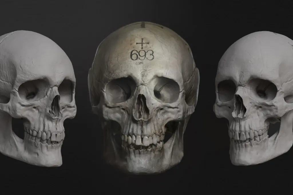 Human Skulls, Grave Robbery, Trending News