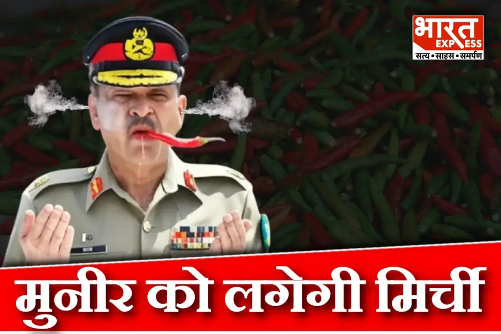 India On Asim Munir Nuclear Threat From US