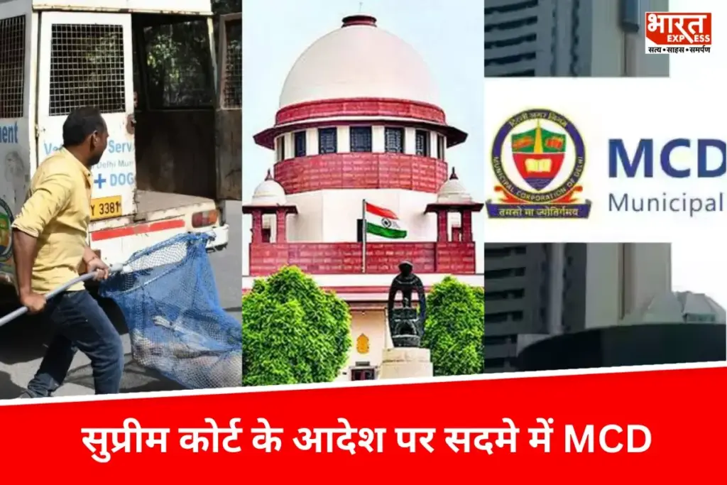 दिल्ली में आवारा कुत्तों को हटाने का Supreme Court का आदेश, सदमे ने MCD, फंड की बड़ी चुनौती