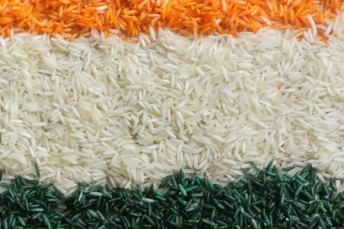 तीन रंगों में सजा यह पुलाव दिखने में जितना सुंदर है खाने में उतना ही स्वादिष्ट है. केसर से रंगा नारंगी चावल, पालक से बना हरा चावल और सादा सफेद चावल तीनों को परतों में सजाएं. इसमें पनीर या सब्जियां मिलाकर इसे और पौष्टिक बनाएं.