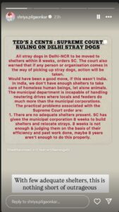 Shriya Pilgaonkar on stray dogs