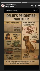 Sonakshi Sinha on stray dogs