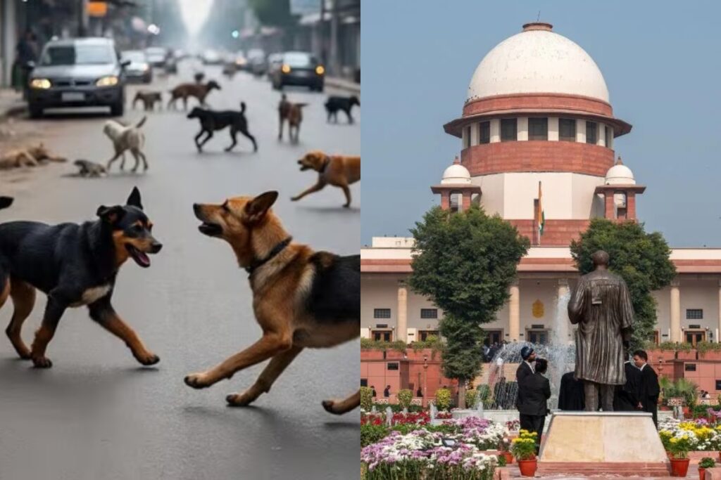 Supreme Court: सुप्रीम कोर्ट ने दिल्ली-एनसीआर में सभी आवारा कुत्तों को तुरंत पकड़ने का दिया आदेश
