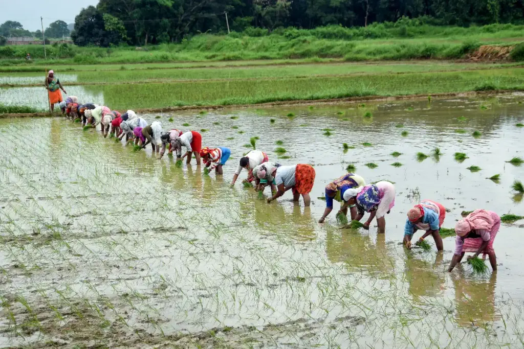 Total Agriculture GVA