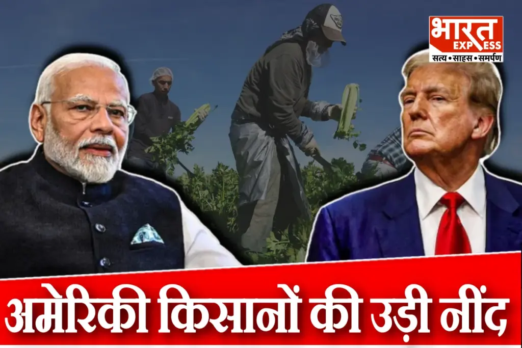 US Farmers Suffer Donald Trump Tariff as India Halts Pulse Imports