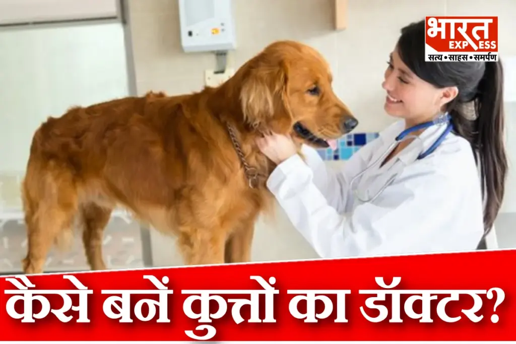 Veterinary Doctor in India Kutton Ka Doctor