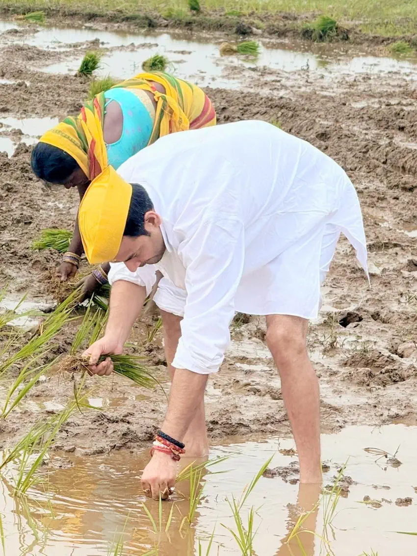 tej pratap yadav rice 