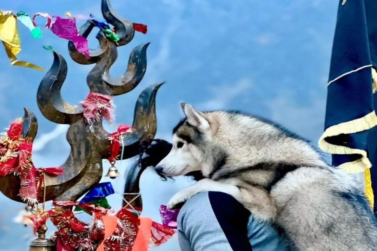 बद्रीनाथ से जुड़ी एक अनोखी मान्यता लोगों को चकित कर देती है. मोटिवेशनल स्पीकर भागवताचार्य देशमुख वशिष्ठ जी महाराज के अनुसार, यहां कभी भी कुत्तों को भौंकते नहीं देखा जाता, न ही बिजली कड़कती है और न ही बादल गरजते हैं. ऐसा माना जाता है कि भगवान श्री हरी नारायण इस स्थान पर ध्यानमग्न हैं और प्रकृति भी उनके ध्यान में सहयोग करती है. यहां बादल केवल बरसते हैं, गरजते नहीं, ताकि भगवान की तपस्या में कोई बाधा न आए.