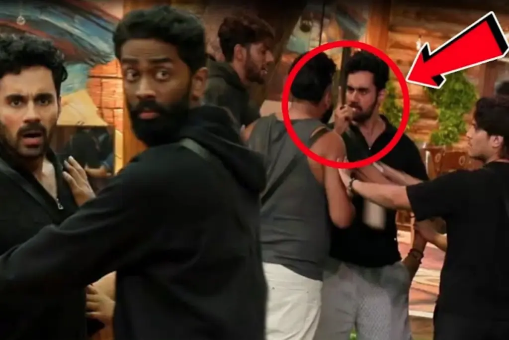 Bigg Bos 19, Fight, Nomination, Entertainment