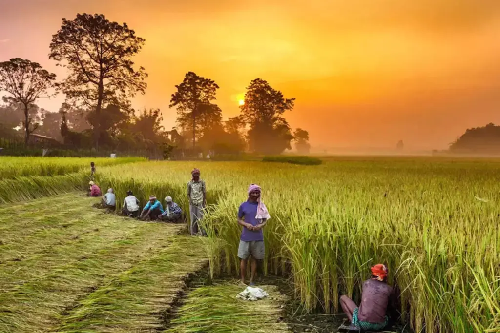 GST Cut, GST, GST Rate Cuts, Agriculture