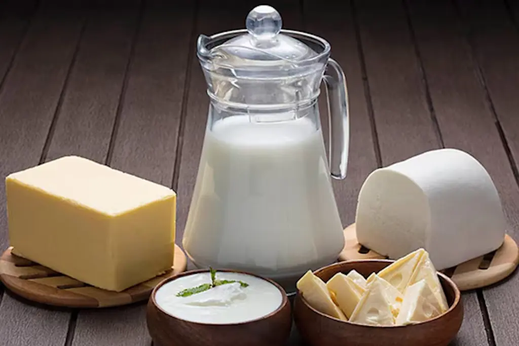 GST Reforms, GST, GST Rate Cuts, Indian Dairy