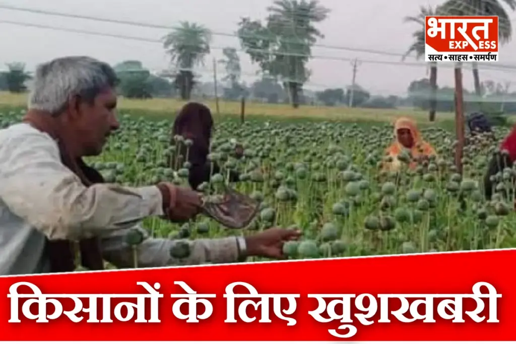 New license policy For Opium Farming