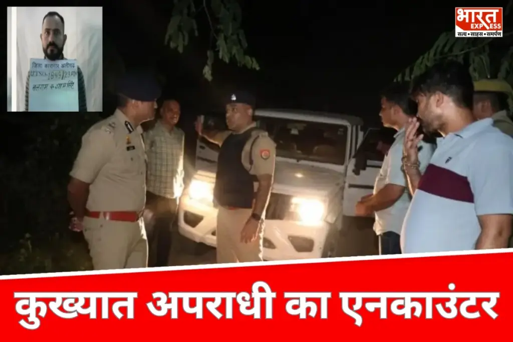 UP News