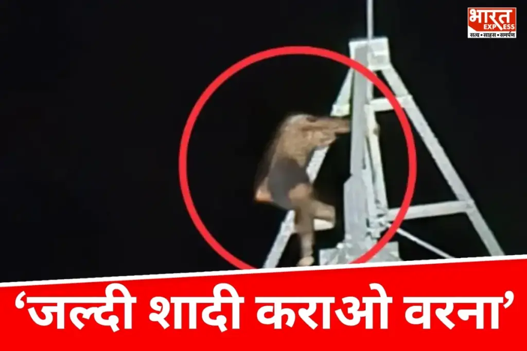 UP News: दूसरी शादी की जिद में मोबाइल टावर पर चढ़ा युवक