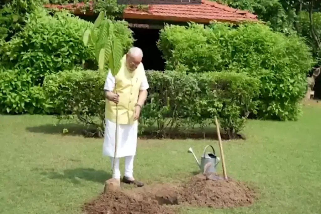 PM Modi Kadamba Tree Plantation
