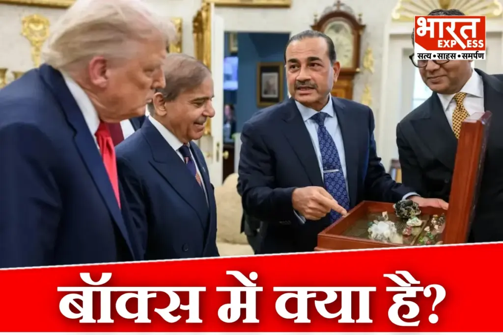 Shehbaz Sharif Asim Munir Show Rare Earth Minerals to Donald Trump