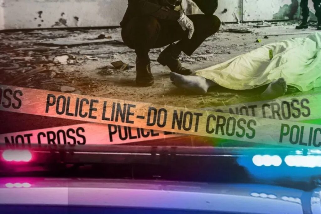 USA Murder News