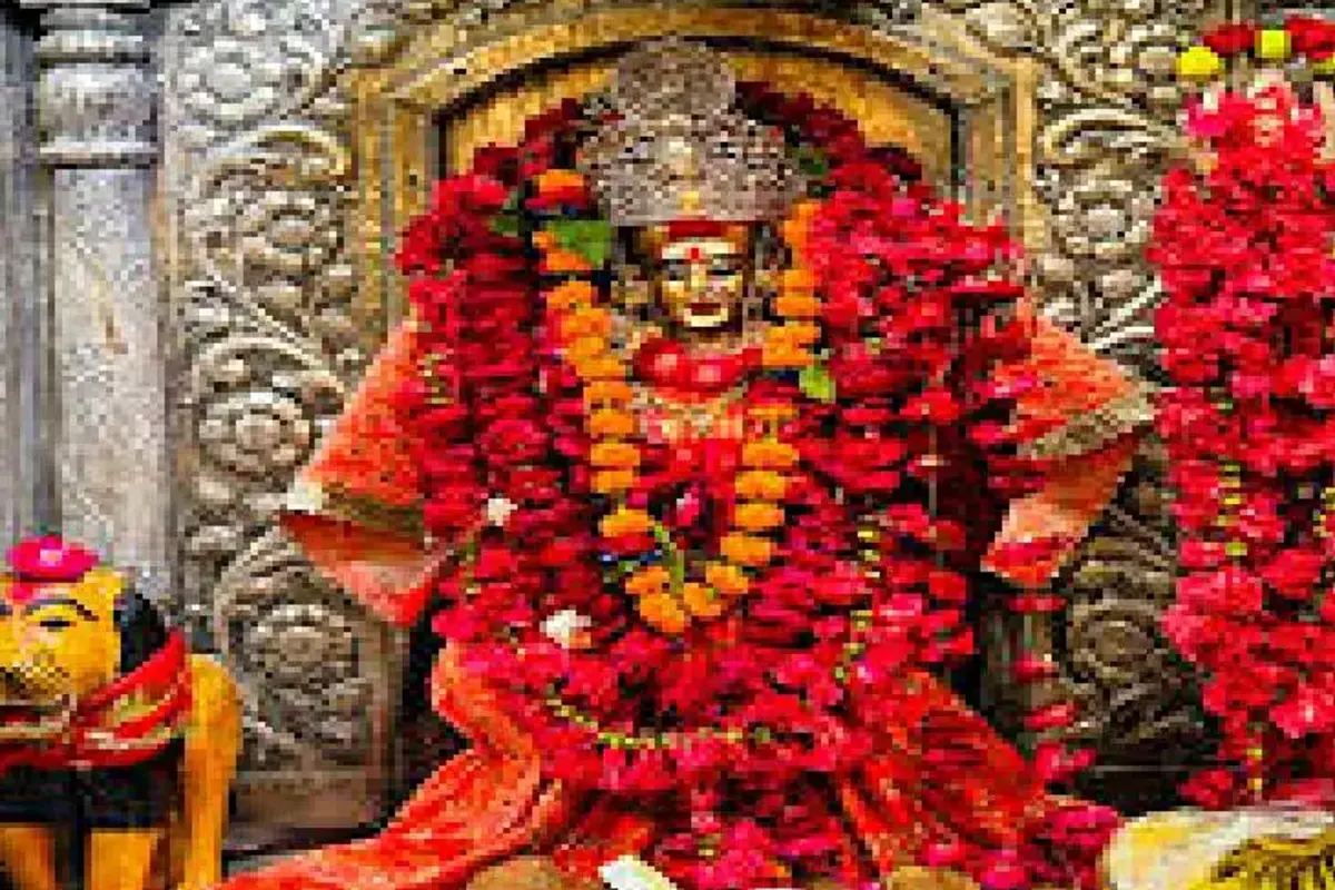 किदवई नगर जंगली देवी मंदिर: कानपुर स्थित यह मंदिर करीब 1400 वर्ष पुराना माना जाता है और इसका इतिहास अभिलेखों में भी दर्ज है. कहा जाता है कि मो. बकर नामक व्यक्ति के मकान की नींव की खुदाई के दौरान ताम्रपत्र मिला था, जिस पर उर्दू भाषा में लेख अंकित था. इस मकान में लगा नीम के पेड़ की खोह में मां की प्रतिमा विराजमान थी. वर्ष 1979 में आए तूफान के दौरान जब नीम का पेड़ गिर गया, तब स्थानीय लोगों ने चंदा इकट्ठा करके यहां एक भव्य मंदिर का निर्माण कराया तभी से यहां श्रद्धालुओं का आना-जाना लगातार बढ़ता गया और पिछले 45 वर्षों से यहां अखंड ज्योति प्रज्वलित है.