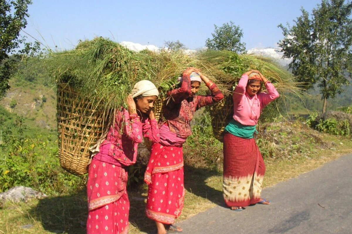 नेपाली महिलाओं का ट्रेडिशनल ड्रेस महिलाओं का पारंपरिक पहनावा गुन्यु चोलो और पटुका है. ग्रामीण क्षेत्रों में इसे रोजमर्रा में पहना जाता था, जबकि शहरी इलाकों में साड़ी और खास मौकों पर यह परिधान आज भी देखा जाता है.