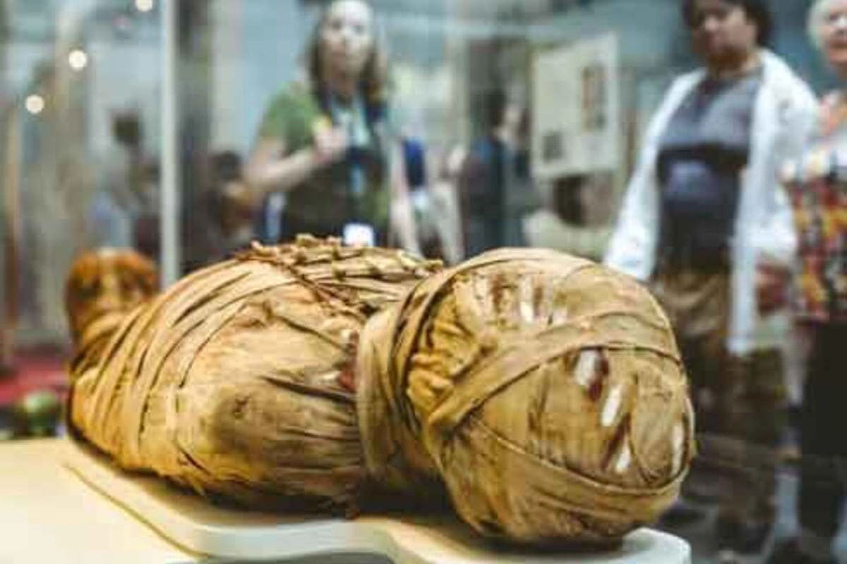 इन आदिवासियों ने अपने 250 साल पुराने कबीले के सरदारों के शवों को भी संरक्षित रखा है. इन ममियों को धुएं से काला कर रखा गया है ताकि वे लंबे समय तक खराब न हों. इन्हें सुअर के दांतों, पक्षियों के पंखों और खास सजावट के सामान से सजाया जाता है. जिस झोपड़ी में ममी रखी जाती है, उसे ‘होनाई’ कहते हैं.
