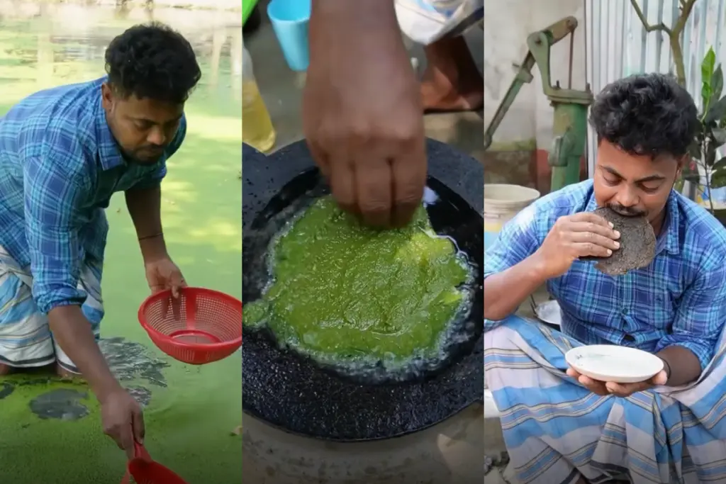 Algae Pancake
