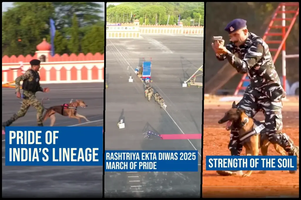 BSF Indigenous Dogs