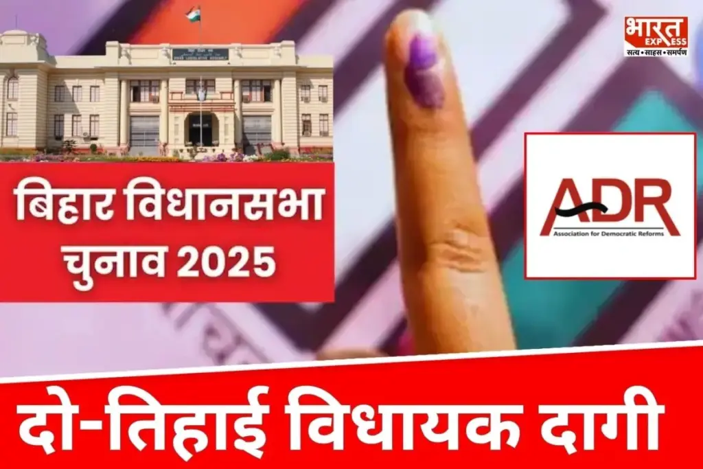 Criminal Cases MLA