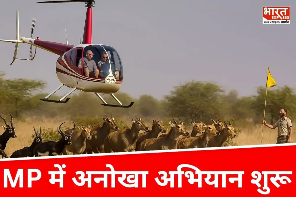 Malwa Wildlife Rescue